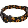 Country Brook Petz Deluxe Collar and Leash - Halloween Collection - 2 of 4