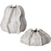 Uttermost Urchin Textured Ivory Vases, Set of 2 - 2 of 4