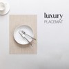 Aoibox PVC Woven Placemats Set of 4, Wipeable Indoor Outdoor Table Mats, Washable Vinyl Place Mat for Dining Table in Beige White - 2 of 4