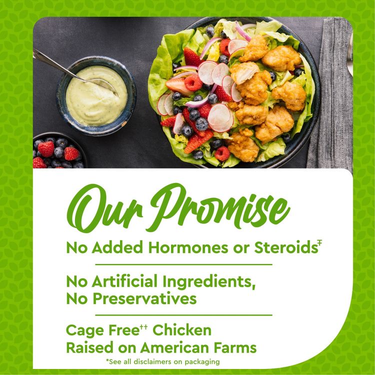 Just Bare Lightly Breaded Chicken Breast Bites - Frozen - 24oz, 6 of 7