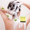ECO Amenities 200 pack 2 in 1 Travel Size Hotel Shampoo and Conditioner Sets, Bulk Toiletries Supplies, 1.0 fl oz, Green Tea Scent - 2 of 4