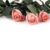 Great Papers! Pink Rose Petals Letterhead Multicolor 80/Pack (2013192) - 2 of 3