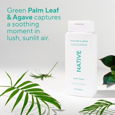 Native Body Wash for Men & Women - Sulfate Free - Palm Leaf & Agave - 18 fl oz