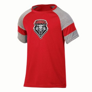 NCAA New Mexico Lobos Boys' Gray Poly T-Shirt - 1 of 3