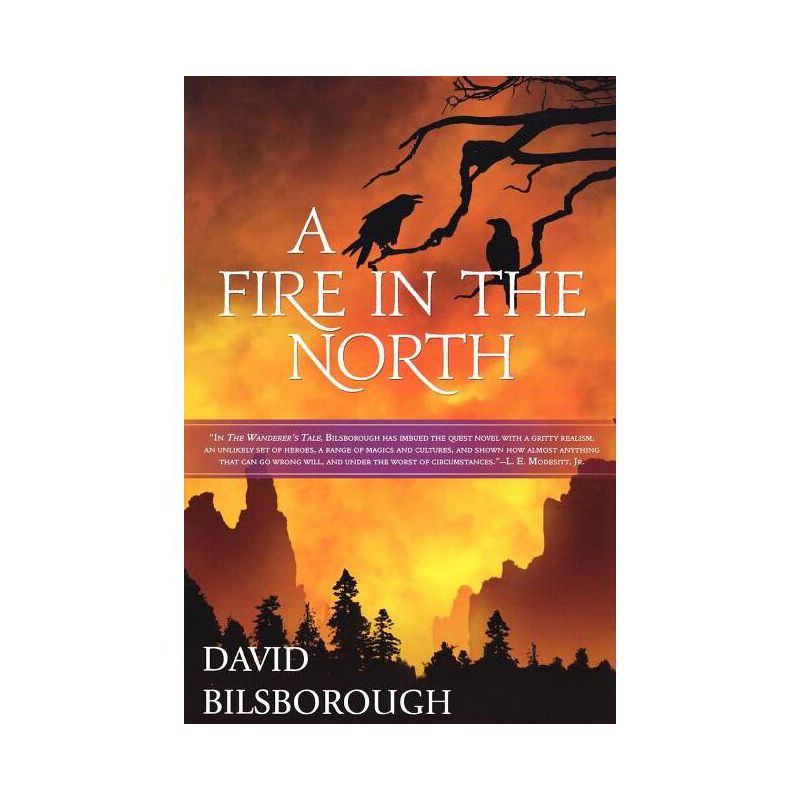 A Fire in the North - (Annals of Lindormyn) by  Bilsborough David (Paperback), 1 of 2