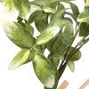 Northlight Satin Pothos Leaf Artificial Bundles - 13" - Green - Set of 6 - 4 of 4