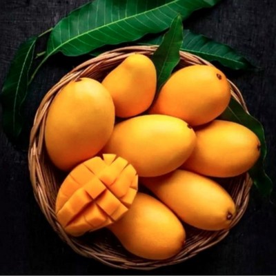 Fresh Golden Kesar Mangoes Pack of 9