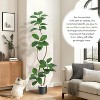 Real Touch Artificial Rubber Tree in White Resin Planter w/Decorative Stones - Faux Fiddle Leaf Style, Tall Indoor Floor Plant for Home Decor - 4 of 4