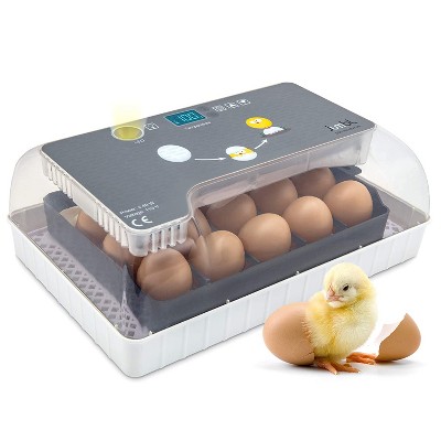 Jumbl Clear Egg Incubator, Fully Automatic Digital Poultry Hatching Machine with Temperature Control, Automatic Egg Turner, LED Candler