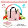Unique Bargains Insulated Leakproof Thermal Zipper Portable Lunch Bag - 3 of 4