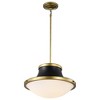 Nuvo Lighting Lafayette 1 - Light Pendant in  Matte Black - 3 of 4