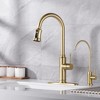 Kitchen Sink Faucet with Pull Down Dual Function Sprayer  Single Handle with Deck Plate Brushed Gold - 4 of 4