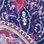 royal navy outlined paisley