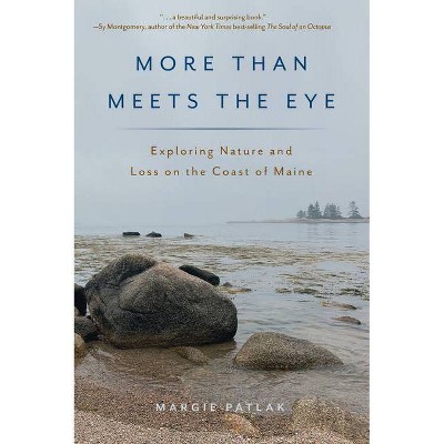 More Than Meets the Eye - by  Margie Patlak (Paperback)