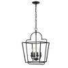 Millennium Lighting 4 - Light Pendant in  Matte Black - 3 of 4
