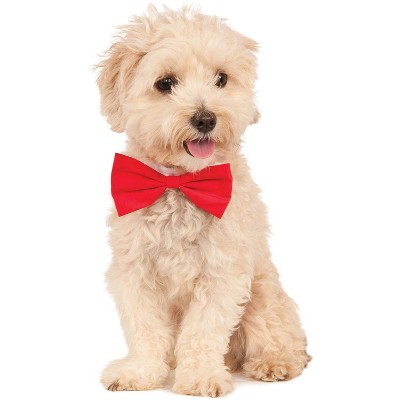 target dog tie