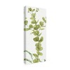 20" x 47" Lisa Audit 'Mixed Greens LX' Unframed Wall Canvas - Trademark Fine Art: Botanical Vertical Artwork - 2 of 4