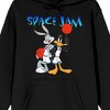 Space Jam 1996 Bugs & Daffy Gradient Logo Long Sleeve Black Hooded Sweatshirt - 2 of 3