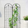 NicBex Metal Plant Stakes for Indoor Plants, Garden Bed with Trellis Rustproof Beans Trellis for Garden - 4 of 4