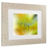 Trademark Fine Art - Juliana Nan Sunbeam III Matted Framed Art - 3 of 4