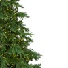 Northlight Real Touch™️ Pre-Lit Medium Mountain Blanc Fir Artificial Christmas Tree - 7.5' - Dual Color LED - 4 of 4
