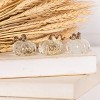 Transpac Fall Harvest Clear Bubble Glass Pumpkin Tabletop Figurine Decoration Set of 3, 1.42 Dia. inches - 3 of 4
