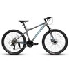 VASIP "26" Gray Mountain Bike for Adults & Teens - High Carbon Steel Frame, 21-Speed, Front/Rear Disc Brakes, 26x2.125" Tires, MTB - 2 of 4