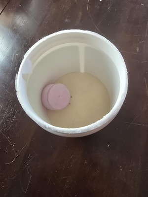 Guest review image 1 of 1, zoom in