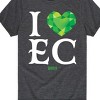 Boys' - Wicked - I Heart Emerald City Short Sleeve Graphic T-Shirt - 2 of 4