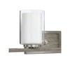 Progress Lighting Mast 4-Light Bath Vanity in Brushed Nickel with Clear and Etched Glass Shades - 2 of 4