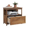 Coral Cape Lateral File Sindoori Mango - Sauder: Locking, Office Storage, 2-Drawer - 4 of 4