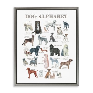 Stupell Industries Dog Alphabet Multiple Breeds Educational Animals Chart Floating Frame Canvas Art - 1 of 4