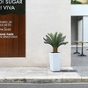 Kazeila 4ft UV Resistant Artificial Cycas Tree with Planter, Big Pre Potted Sago Palm Tree (Indoor/Outdoor) for Office House Decor - 2 of 4