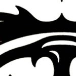 georgia bulldogs uga