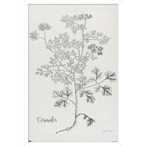 Trends International Jean Plout - Botanical Studies on Paper Coriander Framed Wall Poster Prints - 1 of 4