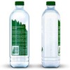 Poland Spring Origin Natural Spring Water - 900ml Plastic Bottle (Pack of 24) - image 2 of 4