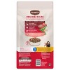 Nutrish Whole Health Blend Real Beef, Pea & Brown Rice Recipe Dry Dog Food - 2 of 4