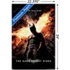 Trends International DC Comics Movie - The Dark Knight Rises - One Sheet Unframed Wall Poster Prints - 3 of 4