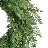 Puleo 24" Pre-Lit Battery-Operated Artificial Flocked Wreath with Twinkle Rice Lights - 4 of 4