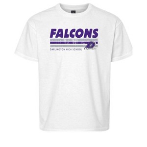 Kids Darlington High School Falcons Name & Graphic Essential Soft T ...