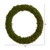 Nearly Natural 20” Moss Artificial Wreath - 2 of 4