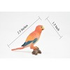 Collectible Wildlife Gifts | Parrot, Very Nice Rubber Reproduction,  Hand Painted       2 1/2"      F617 B131 - 2 of 4