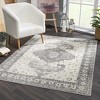 Hauteloom Marash 4605 Gray Area Carpet - 2 of 4