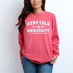 Simply Sage Market Very Cold University Garment Dyed Long Sleeve - 2XL - Crunchberry - 1 of 4