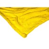 Warner Bros. The Flintstones ClubLife Silk Touch Throw Blanket 50x60 Inches - 2 of 4