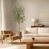 Faux Olive Tree Artificial Indoor, 4/5/6/7ft Tall Fake Olive Tree with Moss - 3 of 4