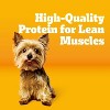 Pedigree with Tender Bites Chicken and Steak Flavor Dry Dog Food for Small Dogs - 3 of 4