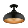 Livex Lighting Amador 1 - Light Semi-Flush Mount in  Shiny Black - 4 of 4