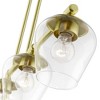 Livex Lighting Willow 4 - Light Chandelier in  Satin Brass - 3 of 4