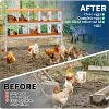 Chicken Nesting Boxes Galvanized Steel Rustproof Egg Laying Box with Egg Collection Systems, Hen Eggs Laying Box, for Chicken House/Duck House/Hen - 3 of 4